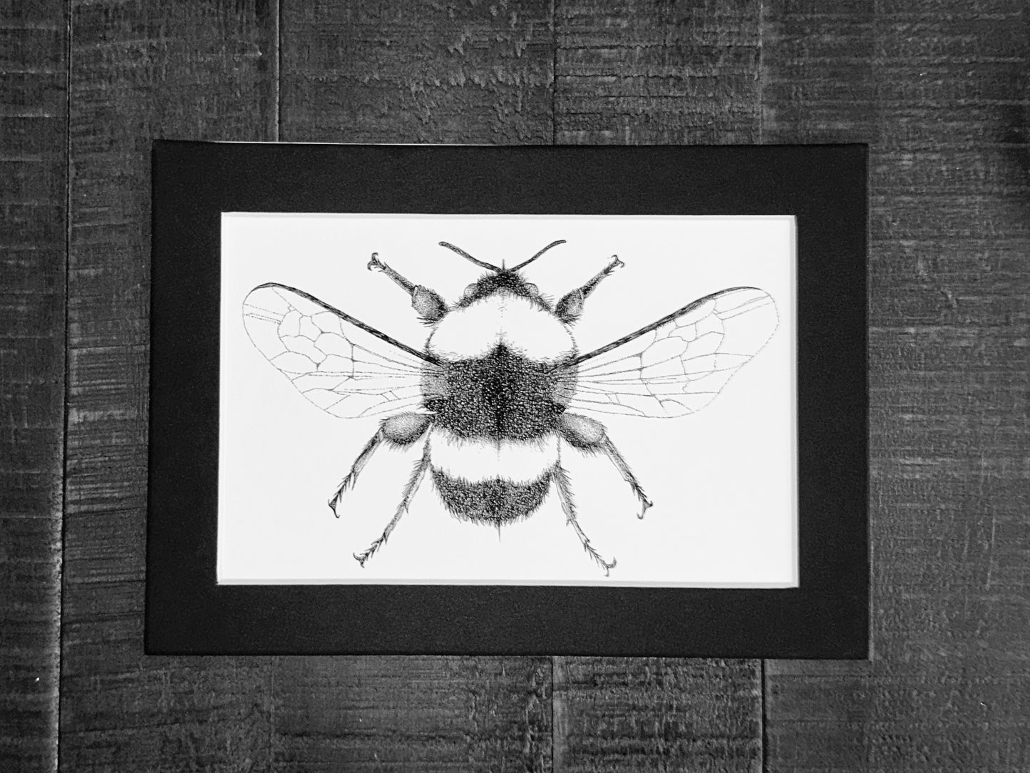 Bumblebee Art Print