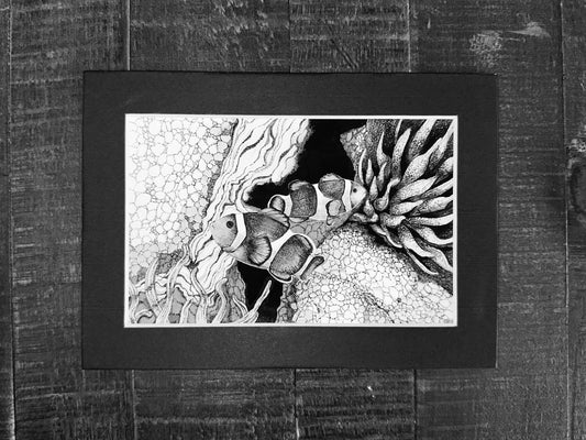 Clownfish Art Print