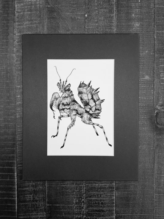 Spiny Flower Mantis Art Print