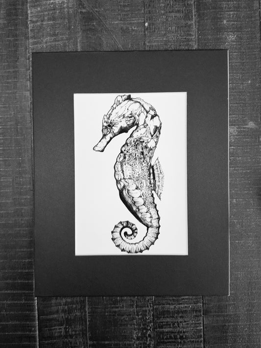 Seahorse Art Print