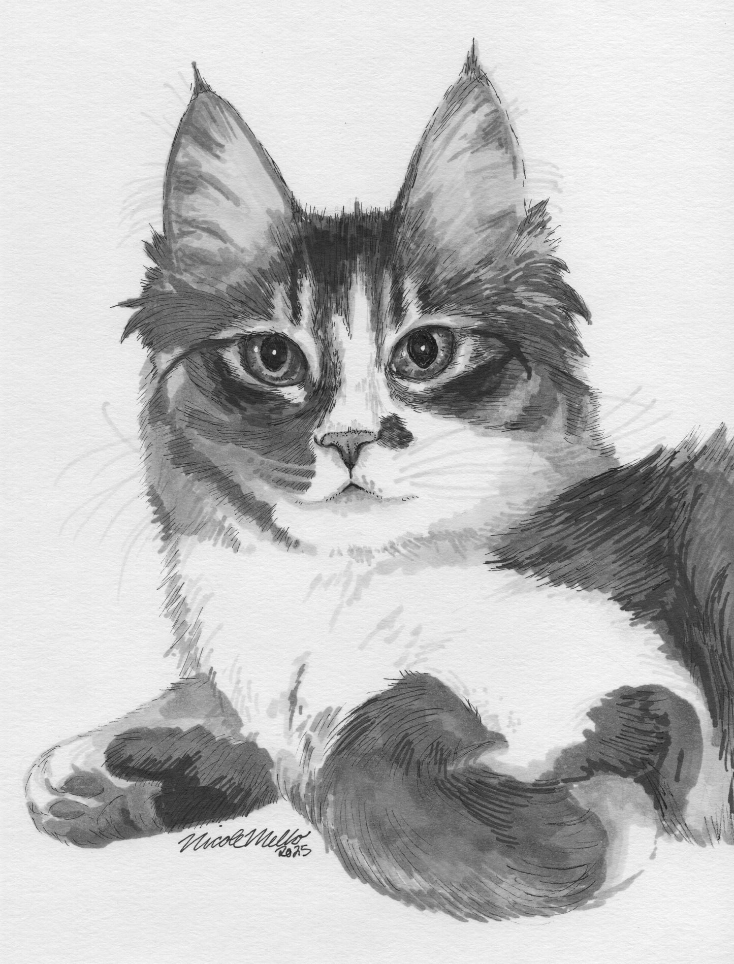 Pet Portrait Commission