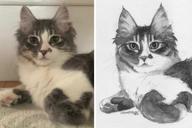 Pet Portrait Commission