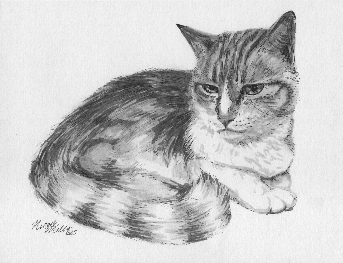 Pet Portrait Commission