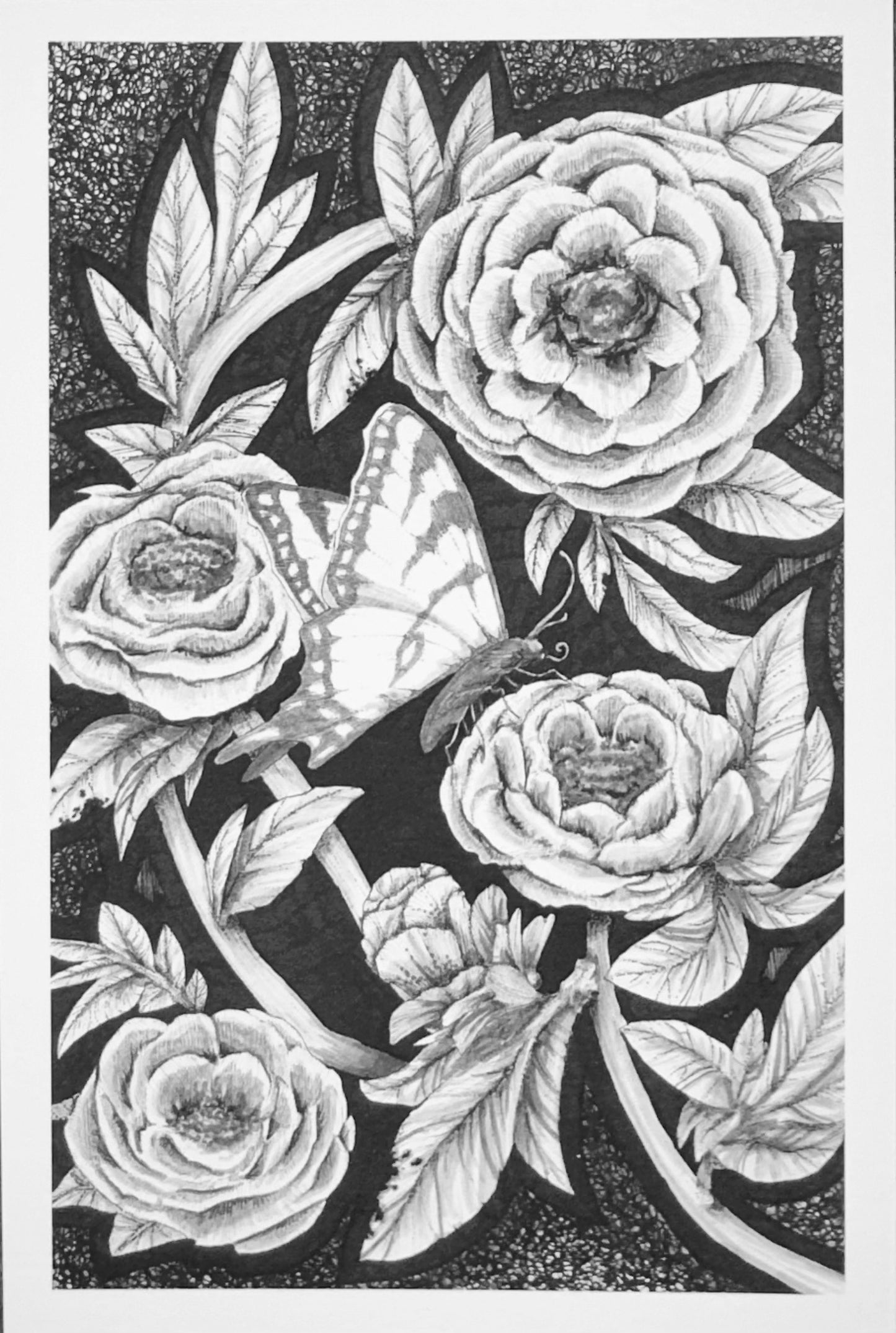 ‘Spring Rebirth’ Art Print