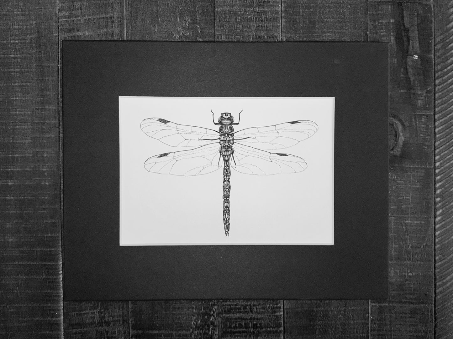 Dragonfly Art Print